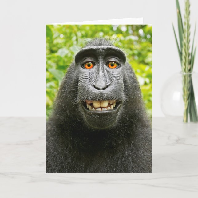Monkey Selfie Karte (Vorderseite)