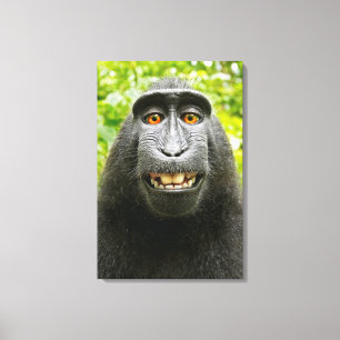 Monkey Selfie Leinwanddruck