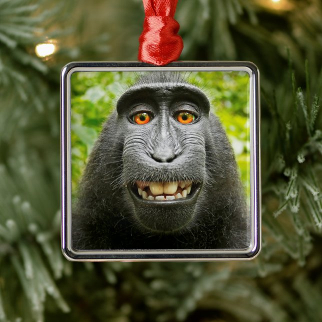 Monkey Selfie Ornament Aus Metall (Baum)