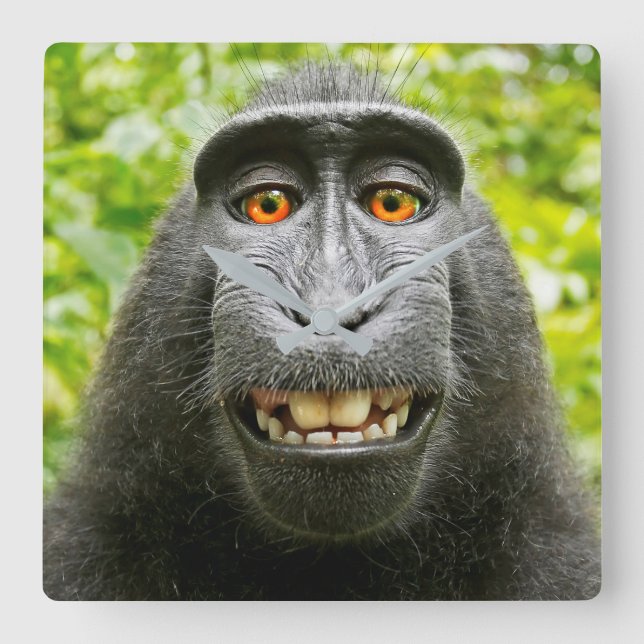 Monkey Selfie Quadratische Wanduhr (Vorderseite)