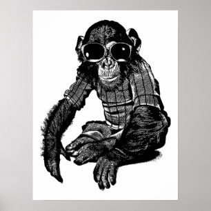 Monkey Wear Sonnenbrillen Kleidung Originelle Kuns Poster