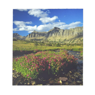 Monkeyblumen am Logan Pass im Glacier National Notizblock