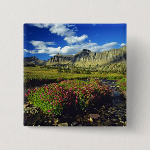 Monkeyblumen am Logan Pass im Gletscher National Button