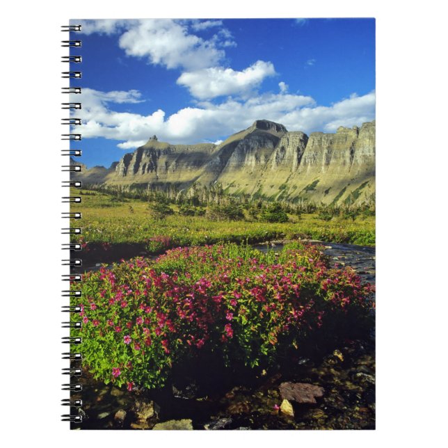 Monkeyblumen am Logan Pass im Gletscher National Notizblock (Vorderseite)