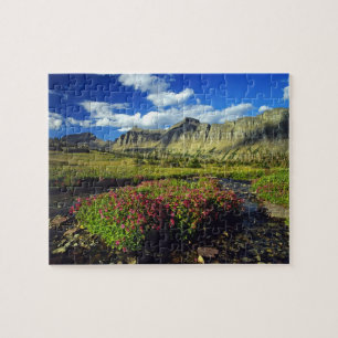 Monkeyblumen am Logan Pass im Gletscher National Puzzle