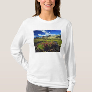 Monkeyblumen am Logan Pass im Gletscher National T-Shirt