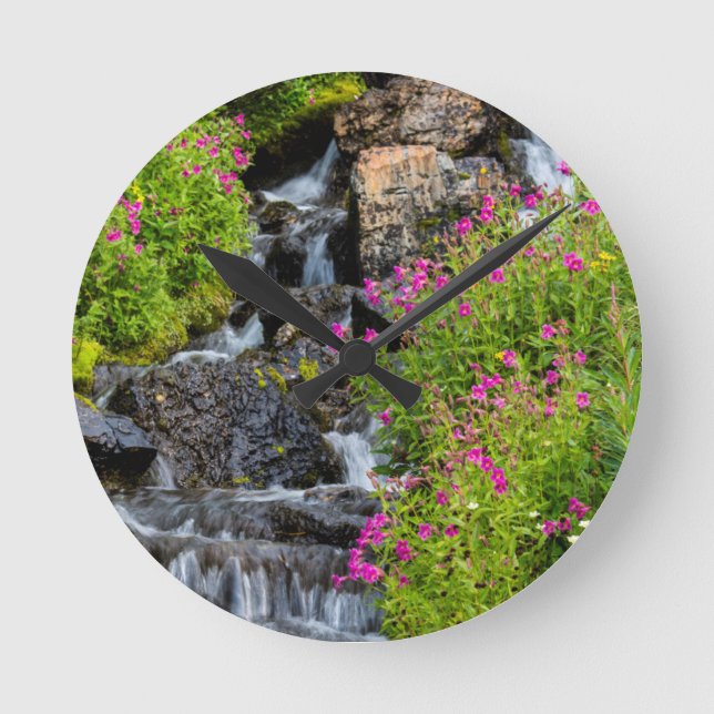 Monkeyblumen am Lunch Creek im Gletscher Runde Wanduhr (Vorderseite)