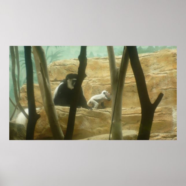 Monkeying Poster (Vorne)