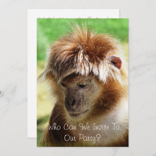 MONKEYS EINLADUNG (Vorne/Hinten)