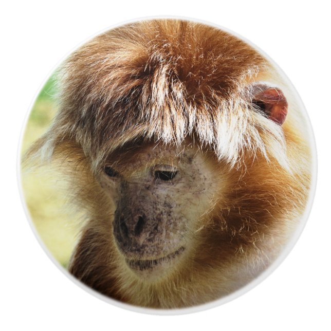 MONKEYS KERAMIKKNAUF (Vorderseite)