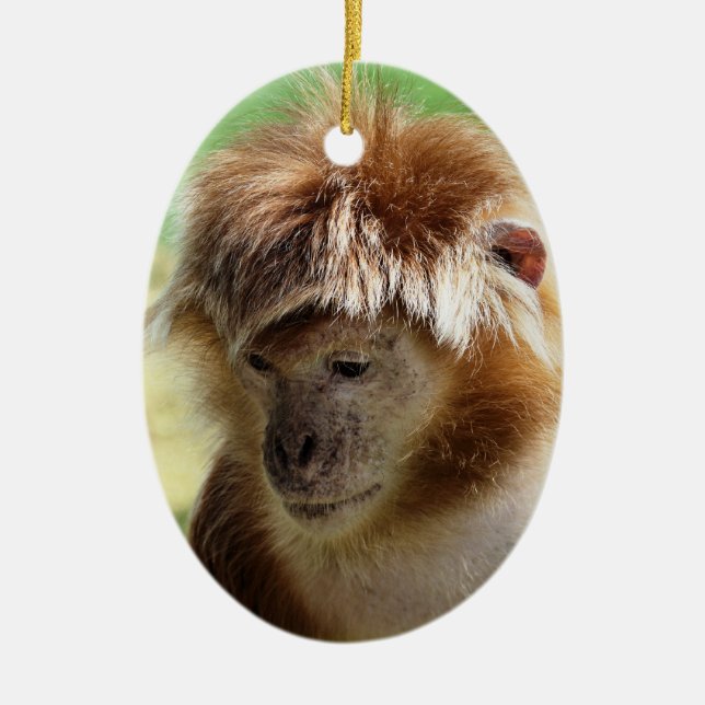 MONKEYS KERAMIKORNAMENT (Vorne)
