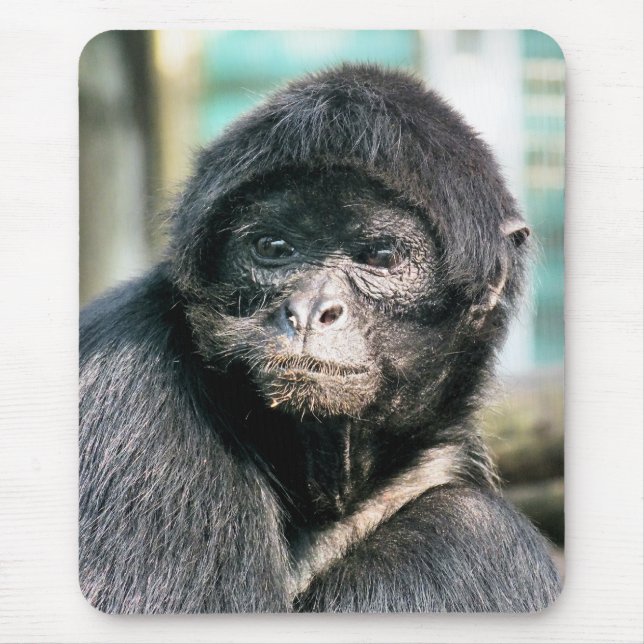 MONKEYS MOUSEPAD (Vorne)