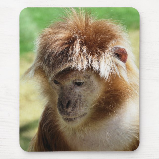 MONKEYS MOUSEPAD (Vorne)