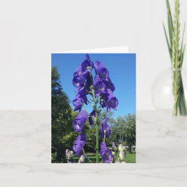 Monkshood-Blues Karte