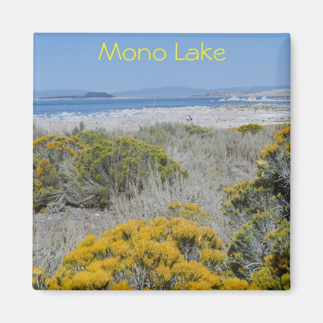 Mono Lake, CA Magnet (Vorne)