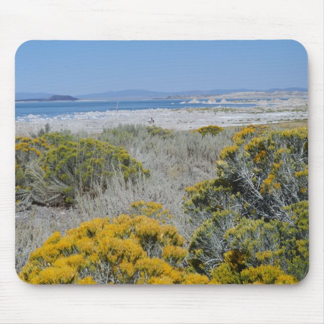 Mono Lake, CA Mousepad (Vorne)