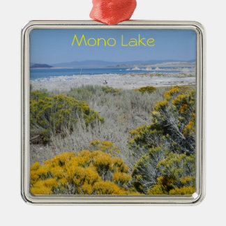 Mono Lake, CA Silbernes Ornament