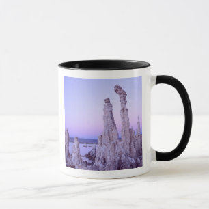 Mono Lake Reserve. Kalifornien. USA. Tufa Tasse