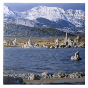MONO LAKE TUFA STATE NATURAL RESERVE, FLIESE