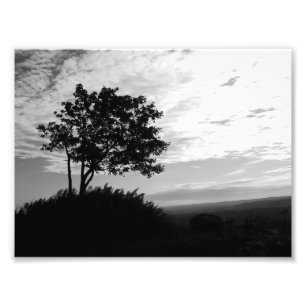 Monochrom der Baum-Silhouette Fotodruck