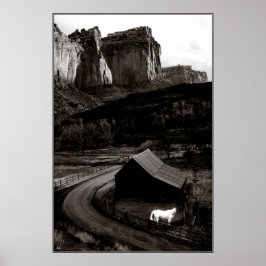 Monochrom des weißen Pferdes in Canyonlands Poster