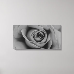 Monochromatische Rose Canvas Print Leinwanddruck