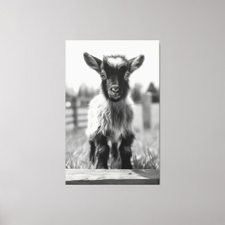 Monochromatisches Baby-Ziegenportrait Leinwanddruck