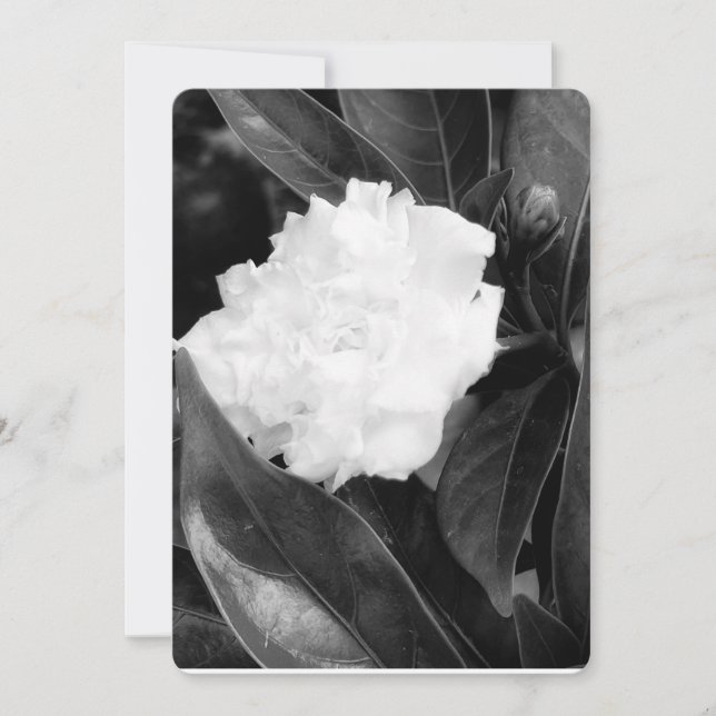 Monochrome Blüte Einladung (Vorderseite)