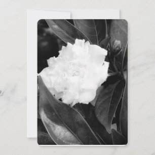 Monochrome Blüte Einladung