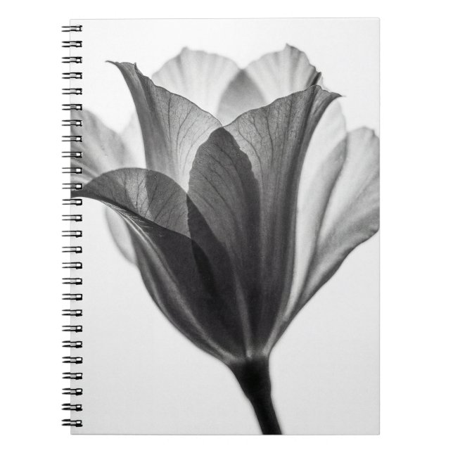 Monochrome botanical fine art photograph notizblock (Vorderseite)