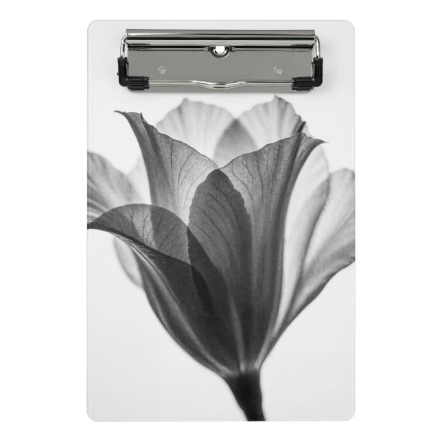 Monochrome botanische Kunstfotografie Mini Klemmbrett (Vorderseite)