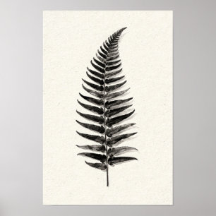 Monochrome Farn-Silhouette 12 x 18 Poster