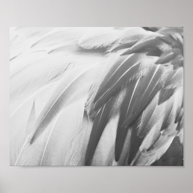 Monochrome Flamingo Feathers Printable Art Poster (Vorne)