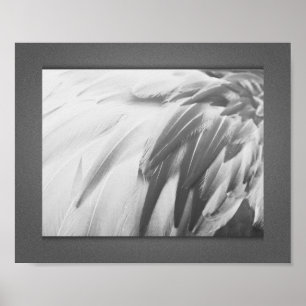 Monochrome Flamingo-Federn Druckbare Kunst Poster