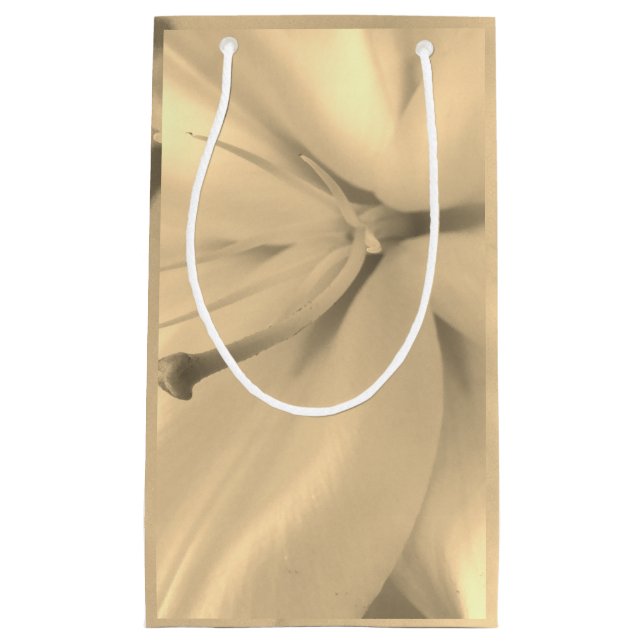 Monochrome Foto-Geschenktasche Kleine Geschenktüte (Vorderseite)