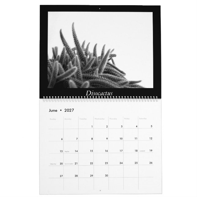 Monochrome Kakteen 2025 Kalender (Jun 2027)