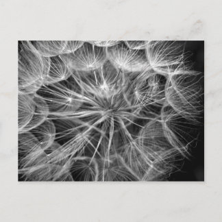 Monochrome Lüster-Saatkarte Postkarte