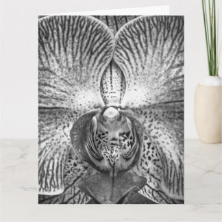 Monochrome Orchid Greeeting Card Karte