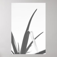 Monochrome Schwarz-weiße Aloe-Pflanze-Blätter