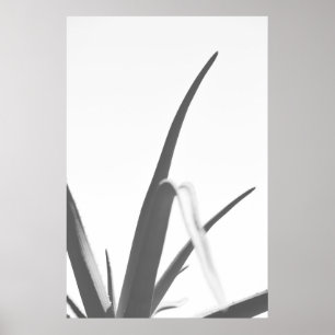 Monochrome Schwarz-weiße Aloe-Pflanze-Blätter Poster