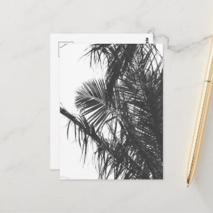 Monochrome Schwarz-weiße Palm Tree-Blätter Postkarte