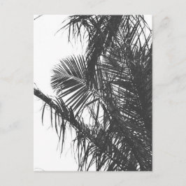Monochrome Schwarz-weiße Palm Tree-Blätter Postkarte