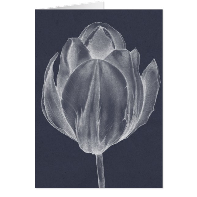 Monochrome Tulip I (Vorne)
