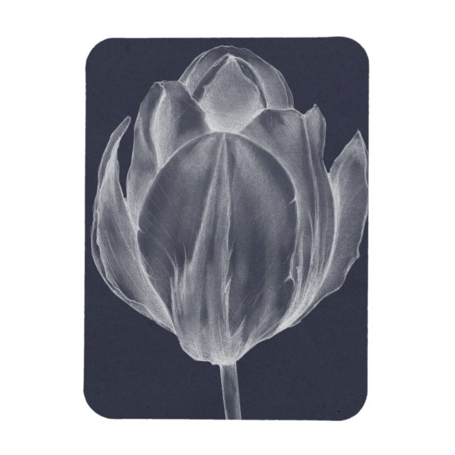 Monochrome Tulip I Magnet (Vertikal)