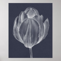 Monochrome Tulip I