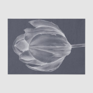 Monochrome Tulip I Seidenpapier