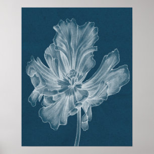 Monochrome Tulip II Poster