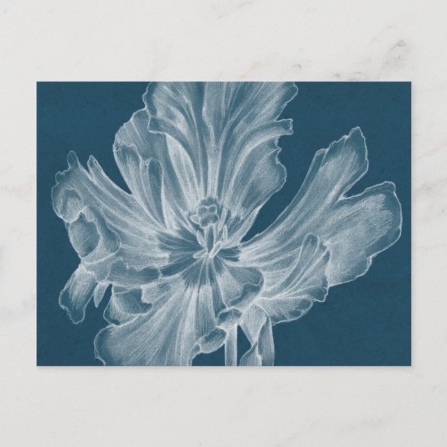 Monochrome Tulip II Postkarte (Vorderseite)