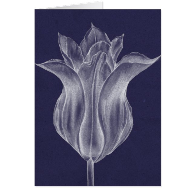 Monochrome Tulip III (Vorne)