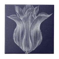 Monochrome Tulip III